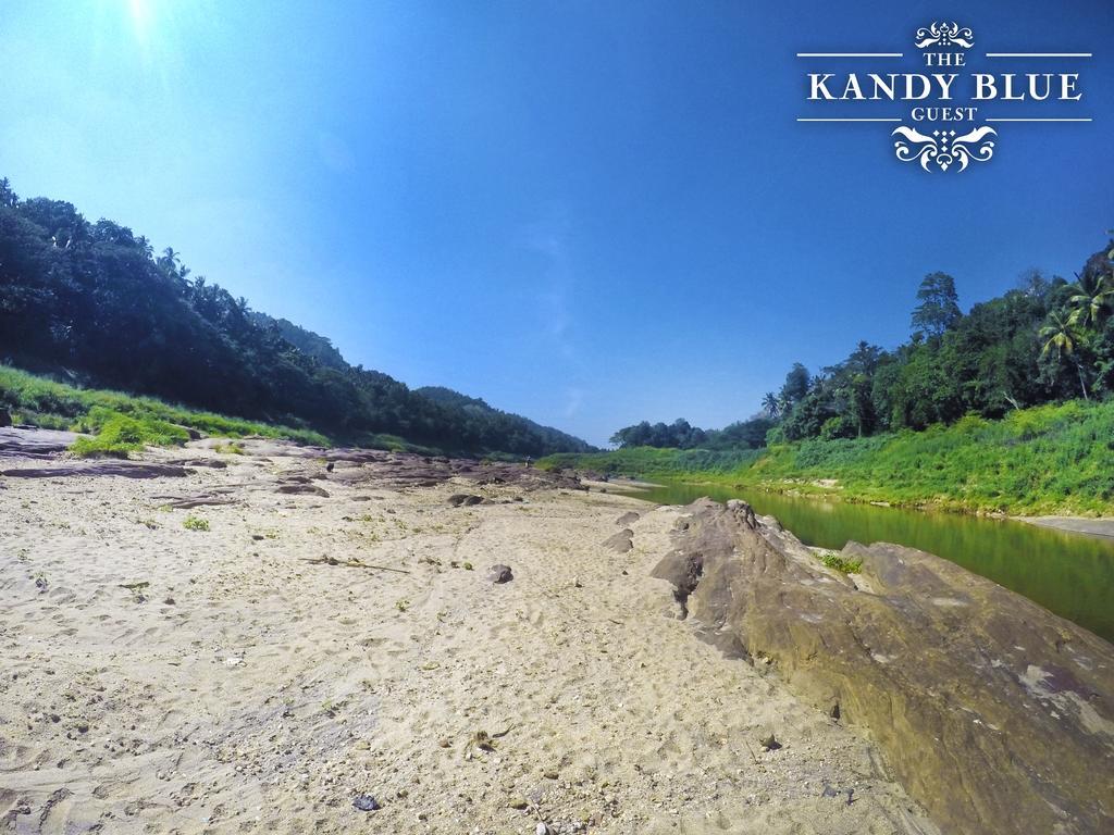 Kandy Blue Экстерьер фото